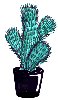 Illustration 'Kaktus'